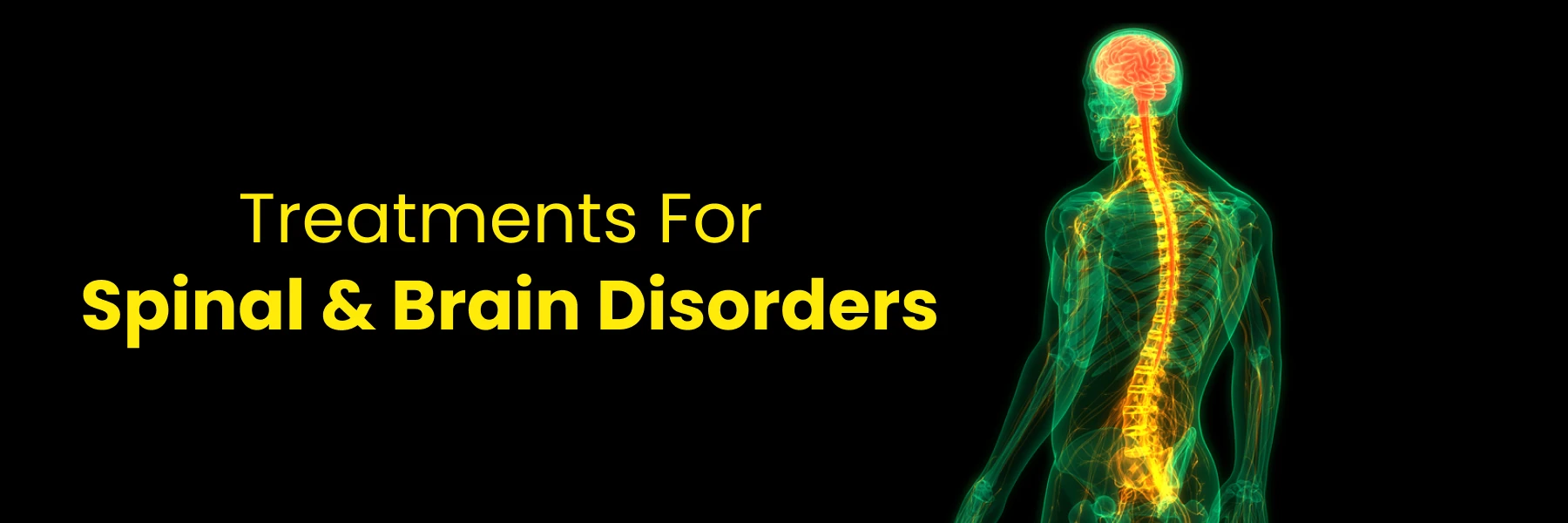 Spinal Brain Disorders Treatments Nashik