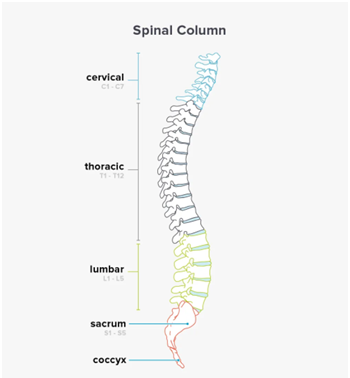 spinal-injuries-types-causes-pain-treatment