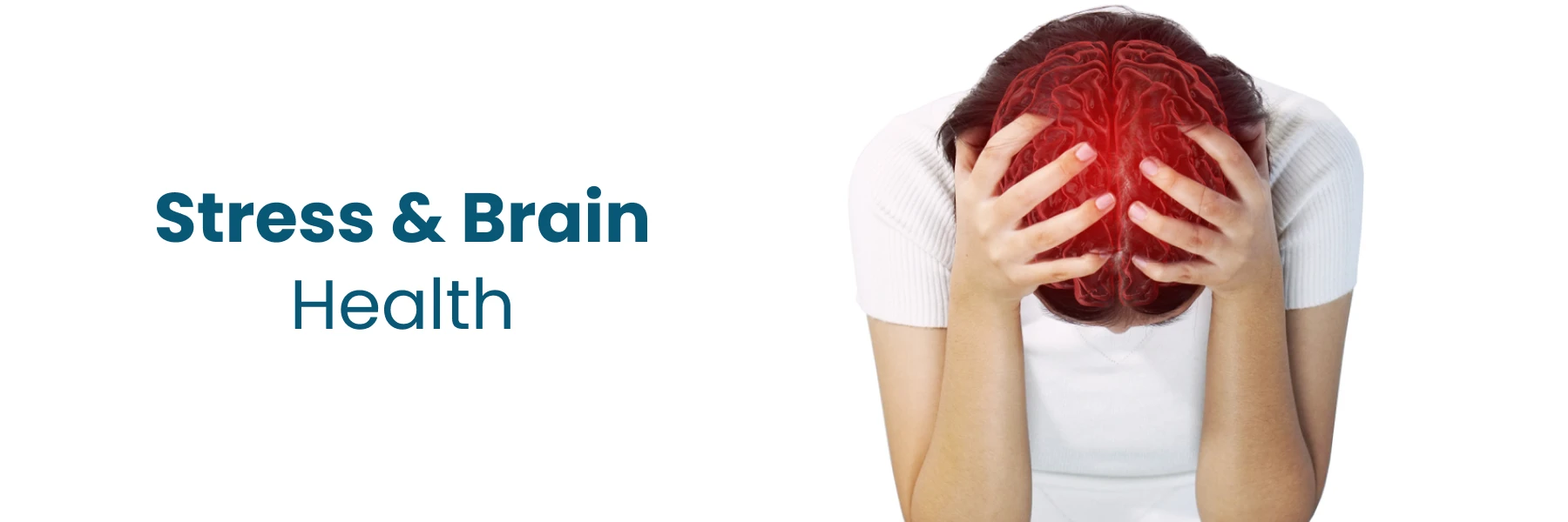 Stress Brain Health Neurologists Nashik 