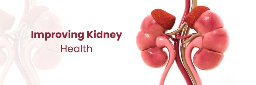 Sustaining Kidney Health