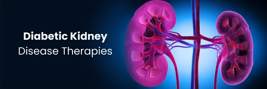 Therapies for Diabetic Kidney Disease

