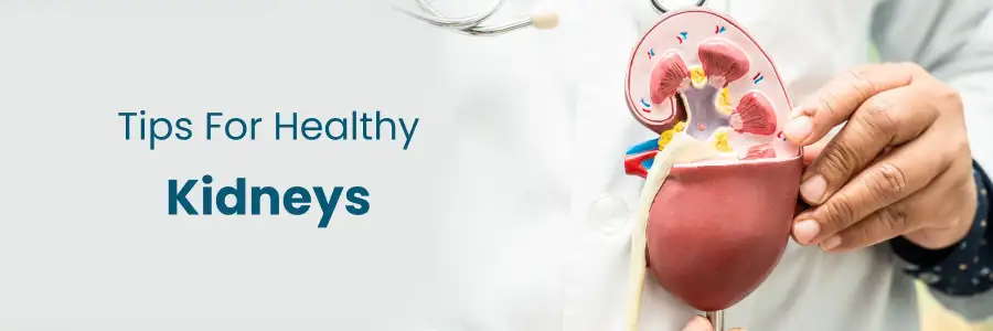 Tips For Healthy Kidneys Pune