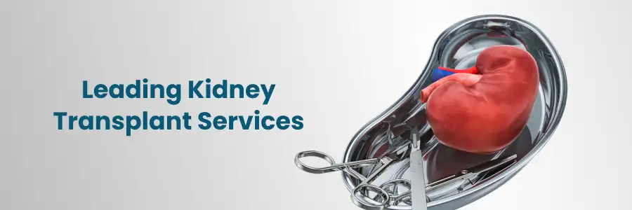 Experts Kidney Transplant Services in Hyderabad