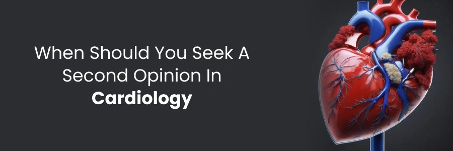 Top Prostate Cancer Doctors near You 