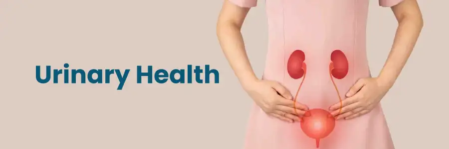 Urinary Health Bengaluru