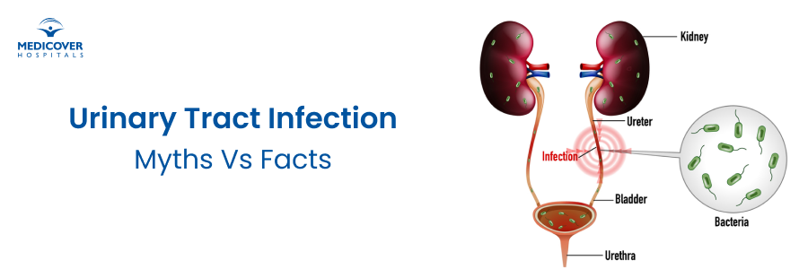 Urinary Tract Infections Myths And Facts Urinary Tract Infections Myths And Facts