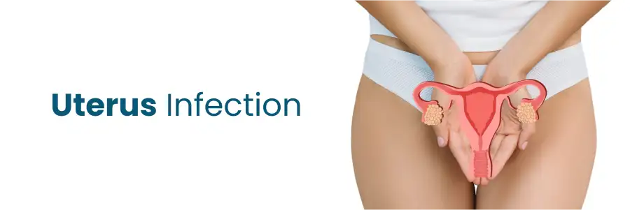 Uterus Infection