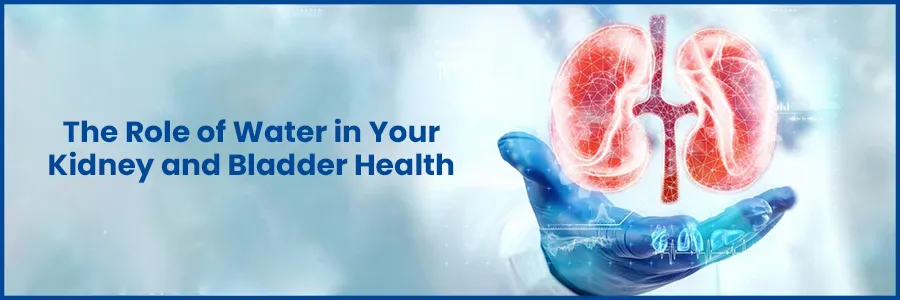 The Role of Water in Your Kidney and Bladder Health