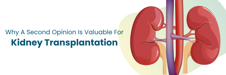 Importance of a second opinion for kidney transplantation