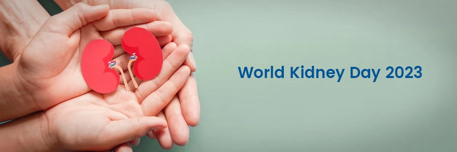 World Kidney Day 2023