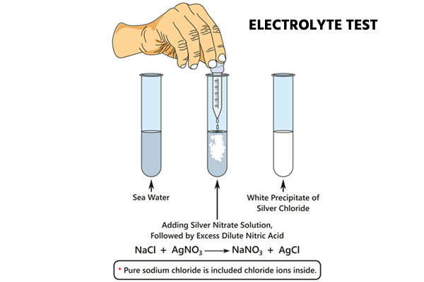 electrolyte test