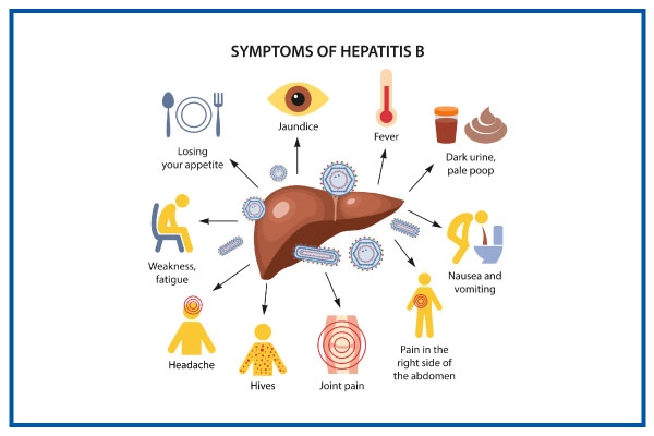 Hepatitis B Symptoms