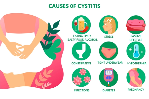 Causes of Cystitis