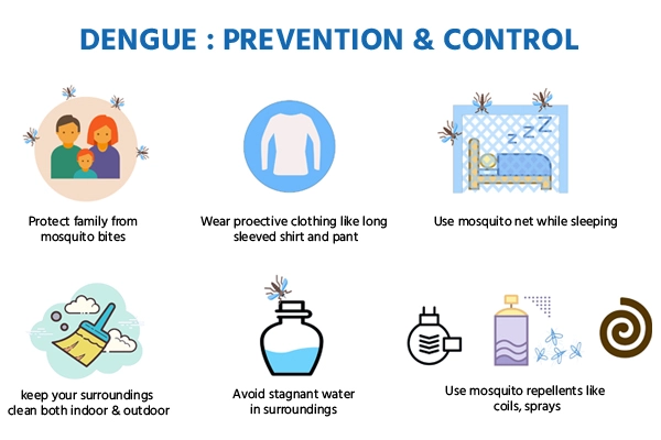 Dengue Preventions