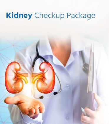 Kidney Checkup Package