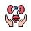 View detail for 
                Pediatric Nephrology