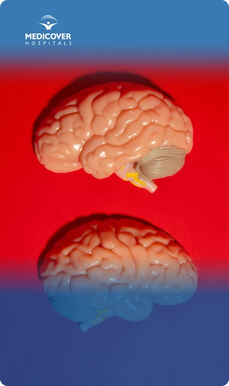 Solutions for Brain AVM Treatment