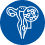 View detail for Endogynecology