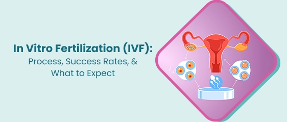 इन विट्रो फर्टिलाइजेशन (आईवीएफ): प्रक्रिया, सफलता दर और क्या उम्मीद करें
