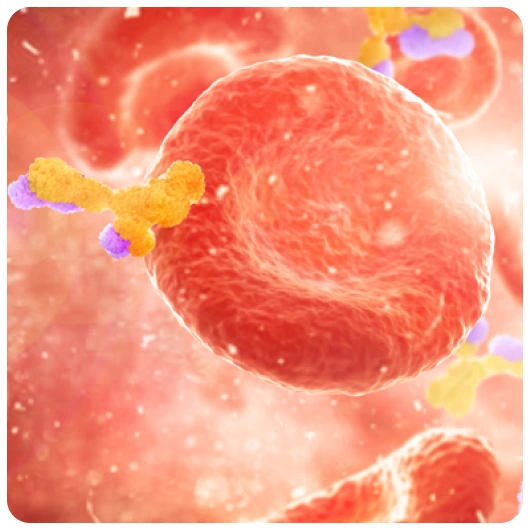 Pediatric Infectious Disease