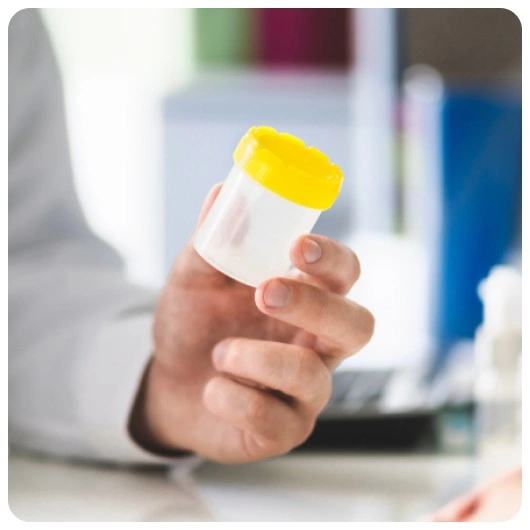 Donor Gamete Programme