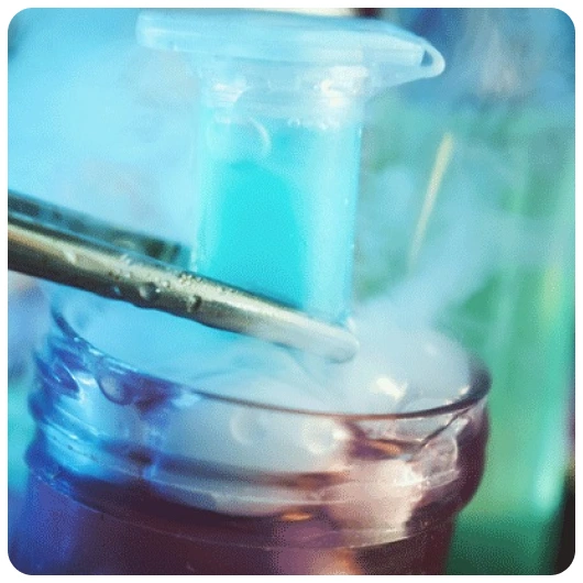 Fertility Preservations