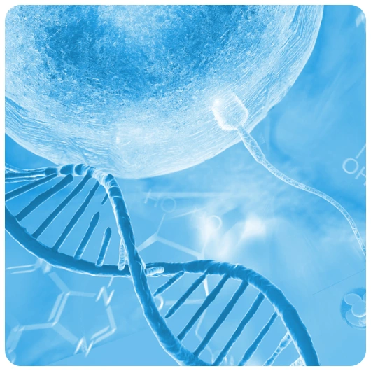 Sperm DNA Fragmentation